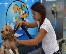 DOG WASH samousluzni aparat za kupanje pasa