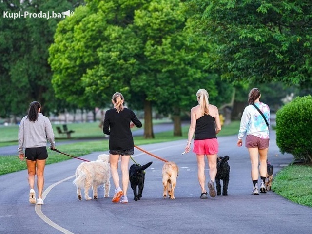 Potreban radnik u prihvatilištu za pse - 1/3