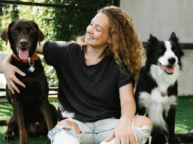 Potreban radnik u prihvatilištu za pse - 2/3