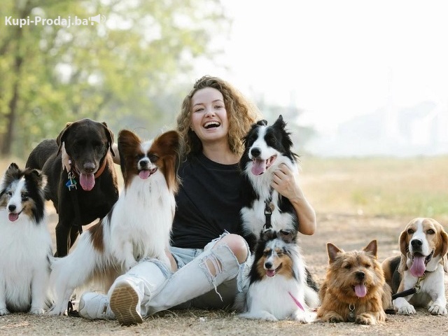 Potreban radnik u prihvatilištu za pse - 3/3